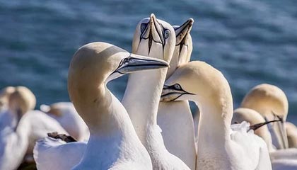 _爱游戏官方_ 中国女足勇夺国际赛事，展现实力_，中国女足热议