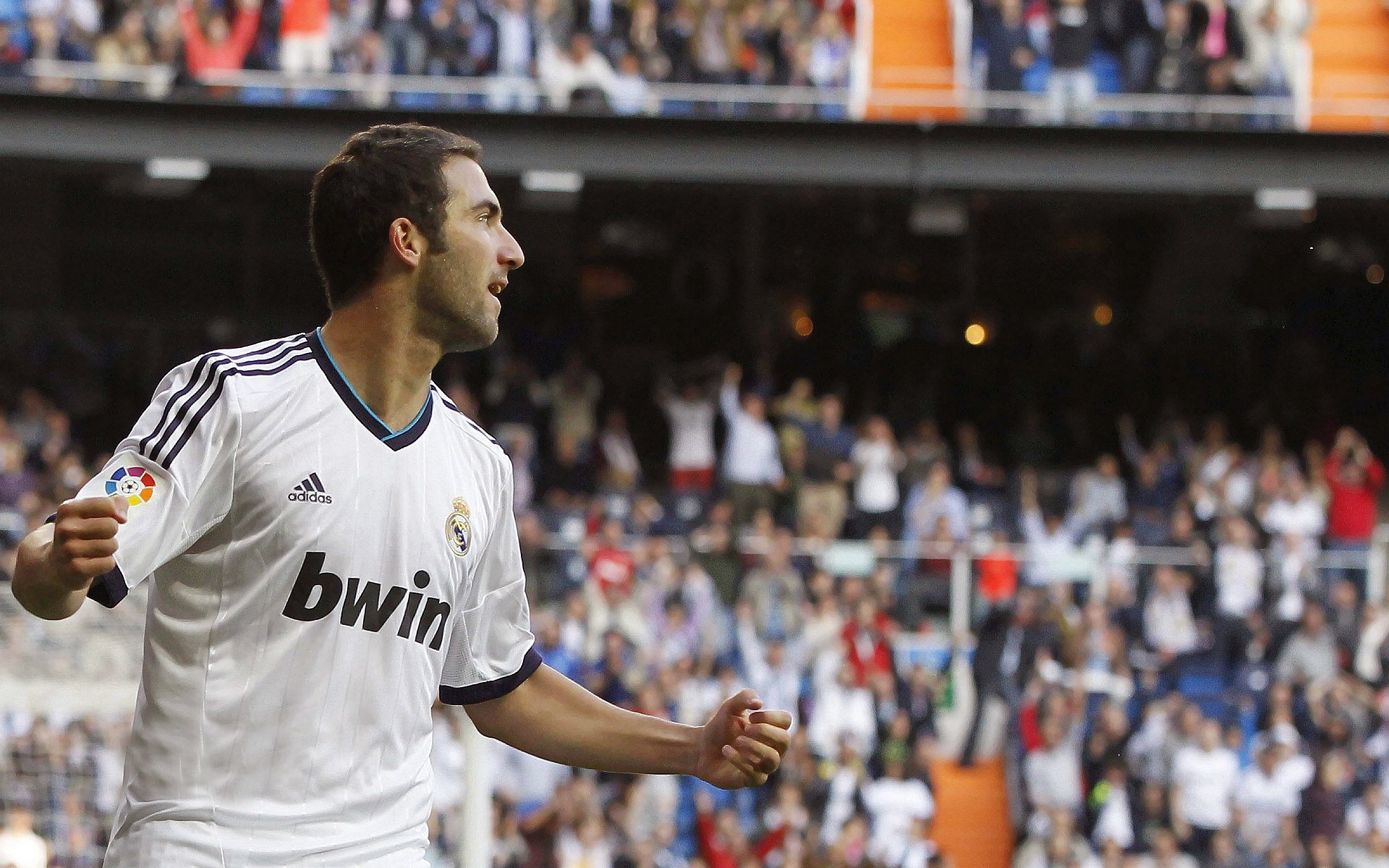 德甲激烈争夺，球迷留言支持，德甲 球迷