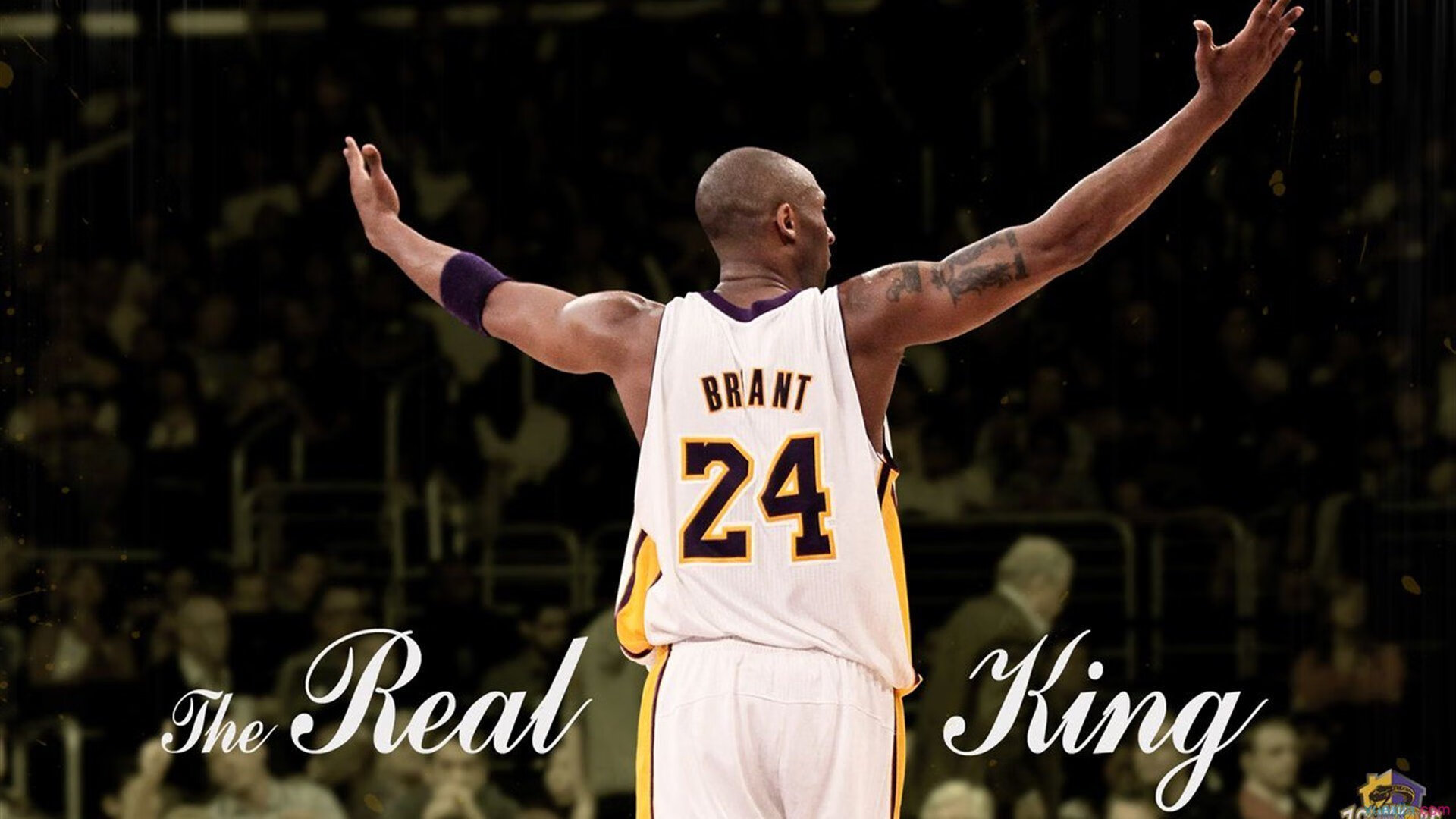 决赛看点：贾瓦迪全程节奏稳定，贾拉瓦人