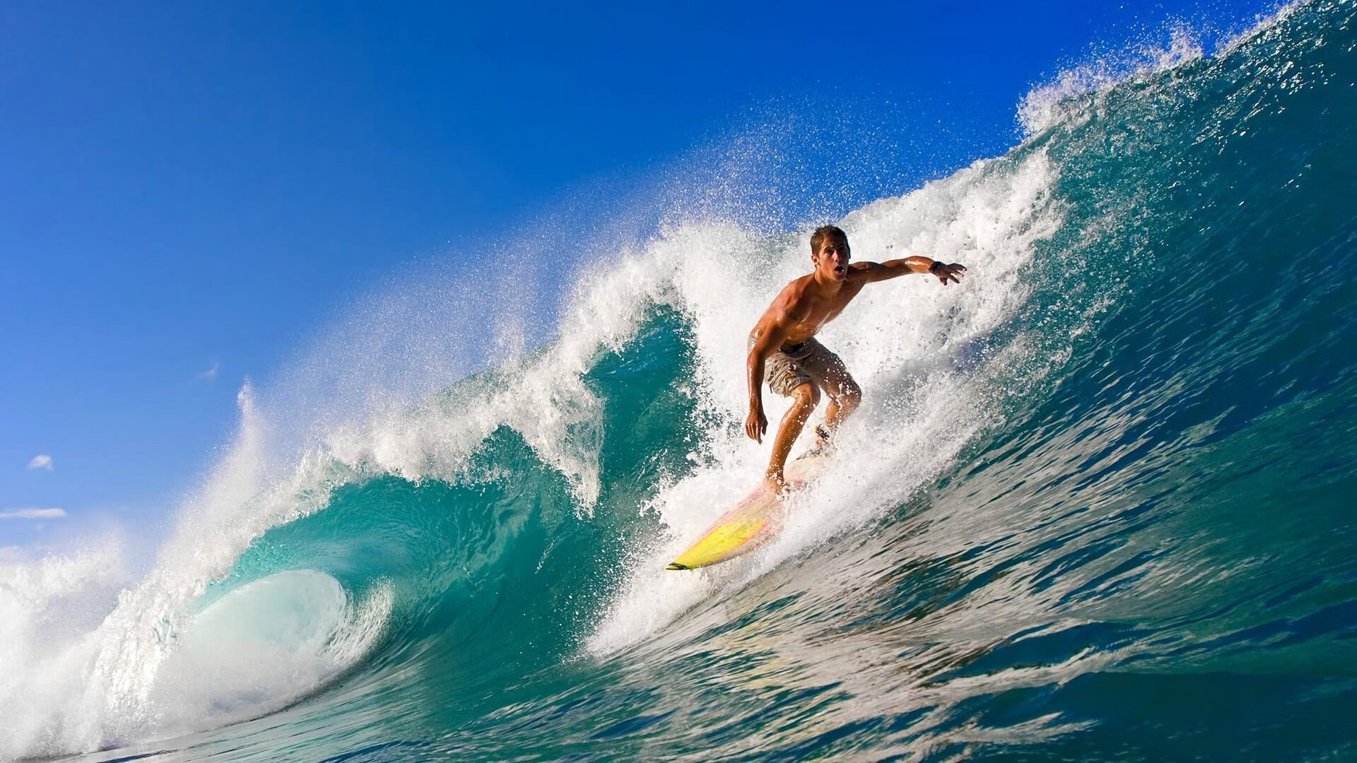 威少称信任是组织进攻的最大武器